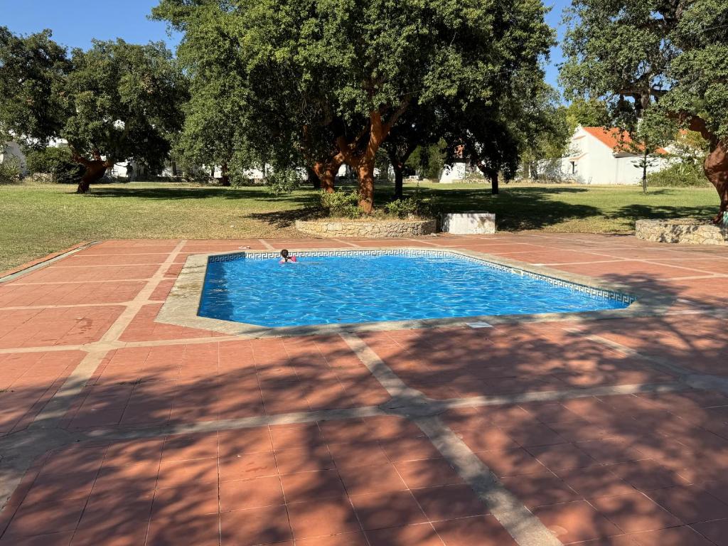 Magna Oura - Resim 26