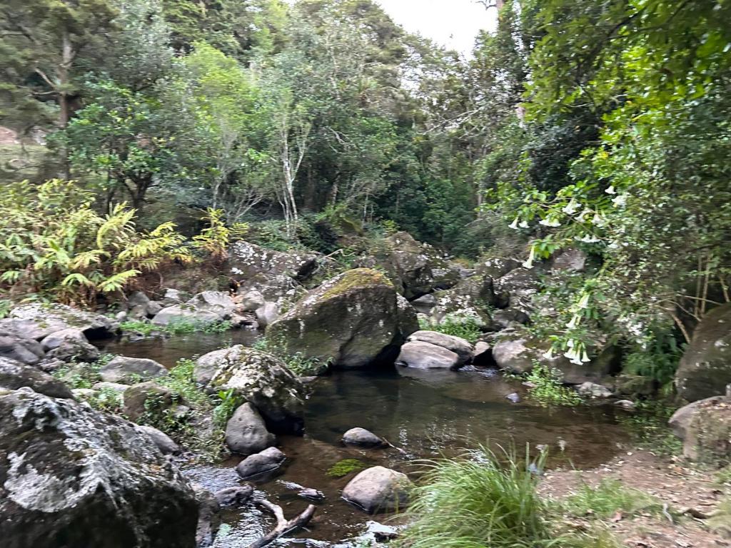 Chalet 13 Bedlington - Resim 15