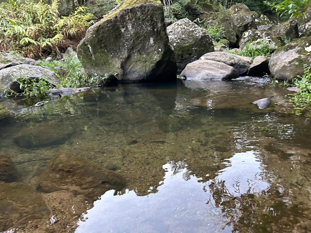 Chalet 13 Bedlington - Resim 13