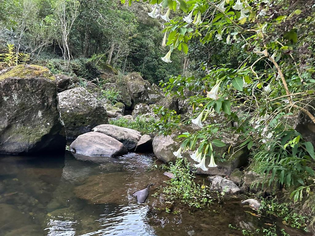 Chalet 13 Bedlington - Resim 14