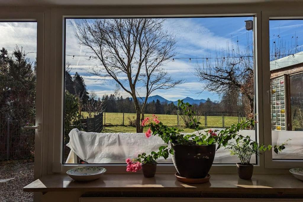 Zahrada ubytování Ferienwohnung mit Garten und Bergblick