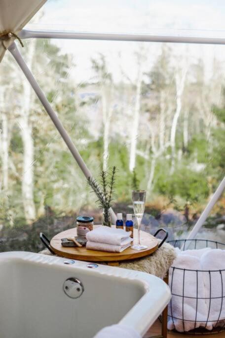 Fotografie z fotogalerie ubytování Forest Shore Dome v destinaci Shelburne
