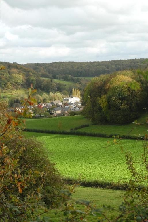 ein Grüngrasfeld mit einer Stadt im Hintergrund in der Unterkunft Romantik Parkhotel het Gulpdal in Slenaken