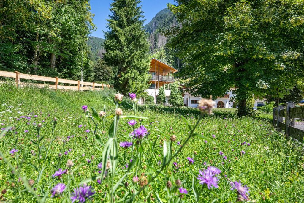 a field of flowers in front of a house at Apartments Villa Jim in Ortisei
