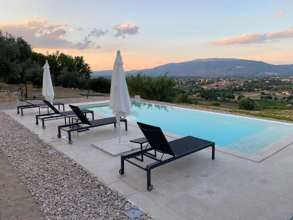 Un grupo de sillas y sombrillas junto a una piscina. en Villa Sweetest Wish, en Bevagna