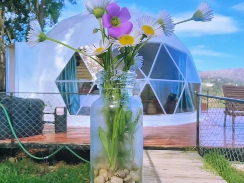 Zahrada ubytování Kanal Glamp Kodaikanal Luxuries