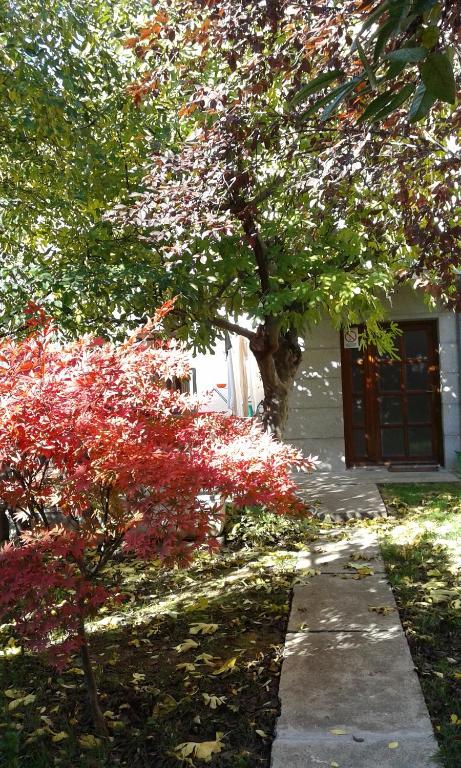 Zahrada ubytování Hostel Oasis