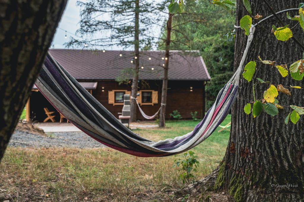 Zahrada ubytování Domek Pan Modrzew - Slow - Hamaki - Chill - ogrodzony teren Pet Friendly