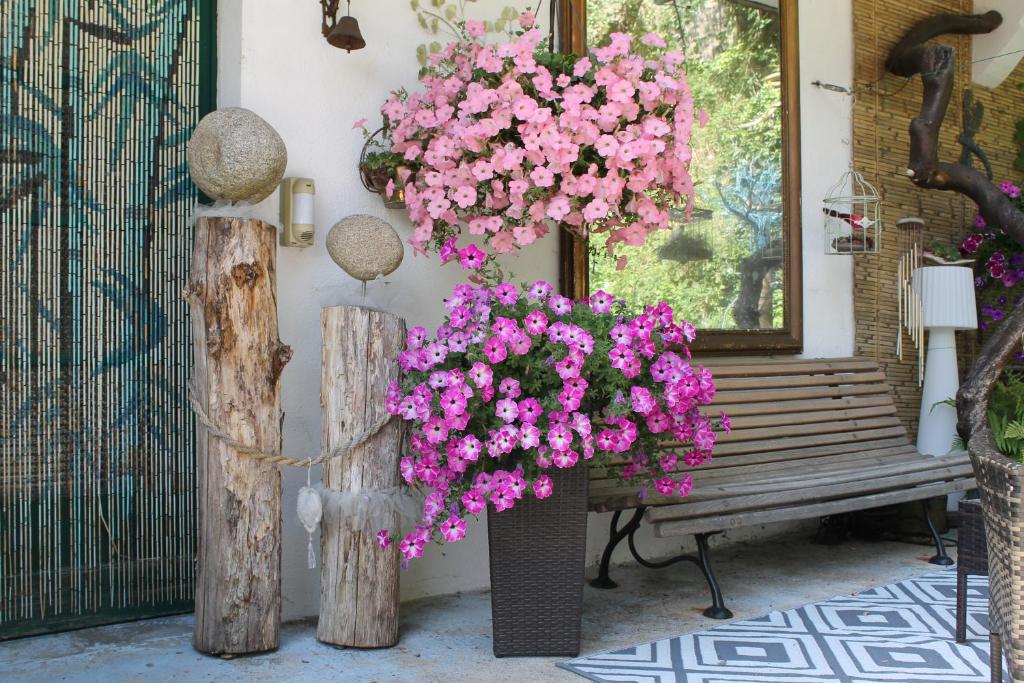 Vonkajšia záhrada v ubytovaní Studio Malou, cuisine, salle d'eau, terrasse amenagée