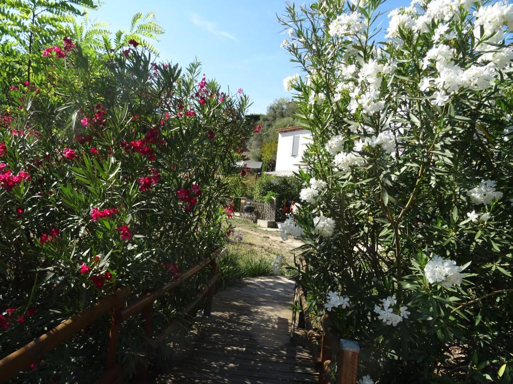 Les Ecrins d'Aix-en-Provence - 2