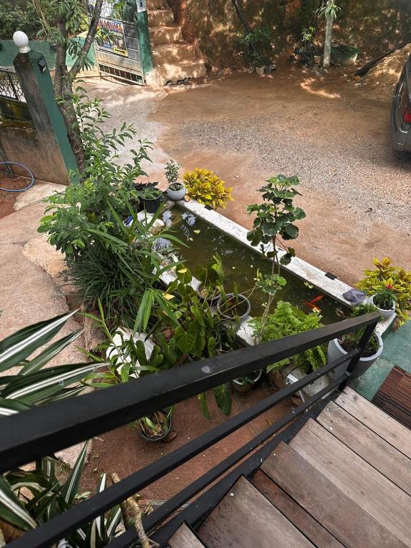 Zahrada ubytování Senasuma Homestay