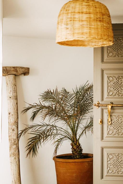Fotografie z fotogalerie ubytování Riad Shabi Kasbah v Marrákéši