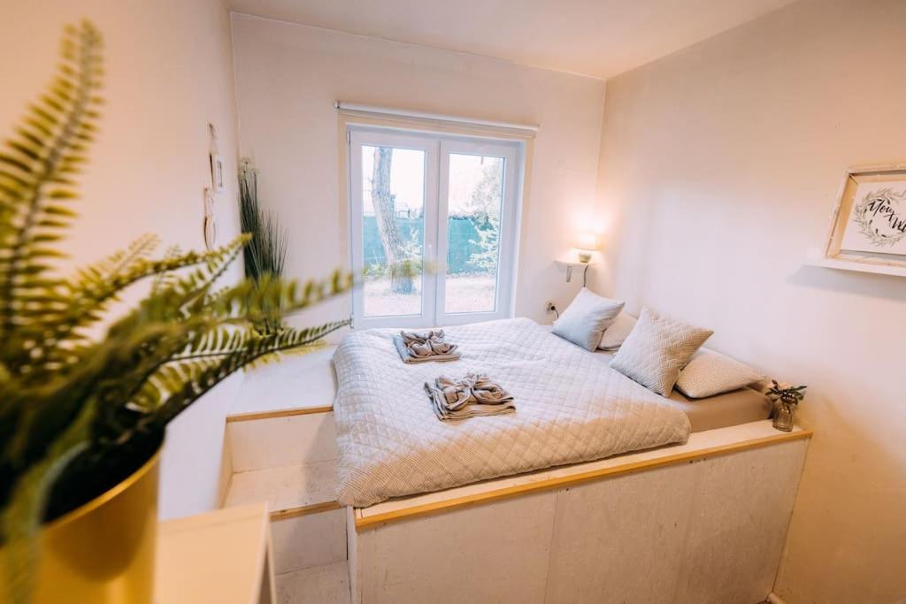Posezení v ubytování Cozy Bungalow inklusive free parking