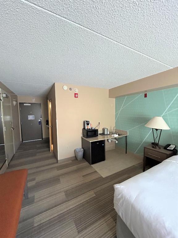 Comfort Inn & Suites Boulder - Camera King - Accessibile/Non Fumatori