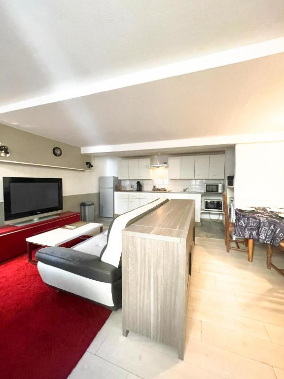 Il comprend un grand salon avec un canapé et une cuisine. dans l'établissement Le Réconfort' Ain, à Coligny