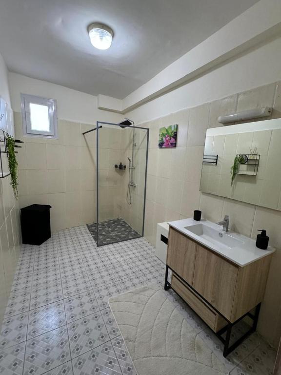 a bathroom with a shower and a sink at Résidence la rosée in Mamoudzou
