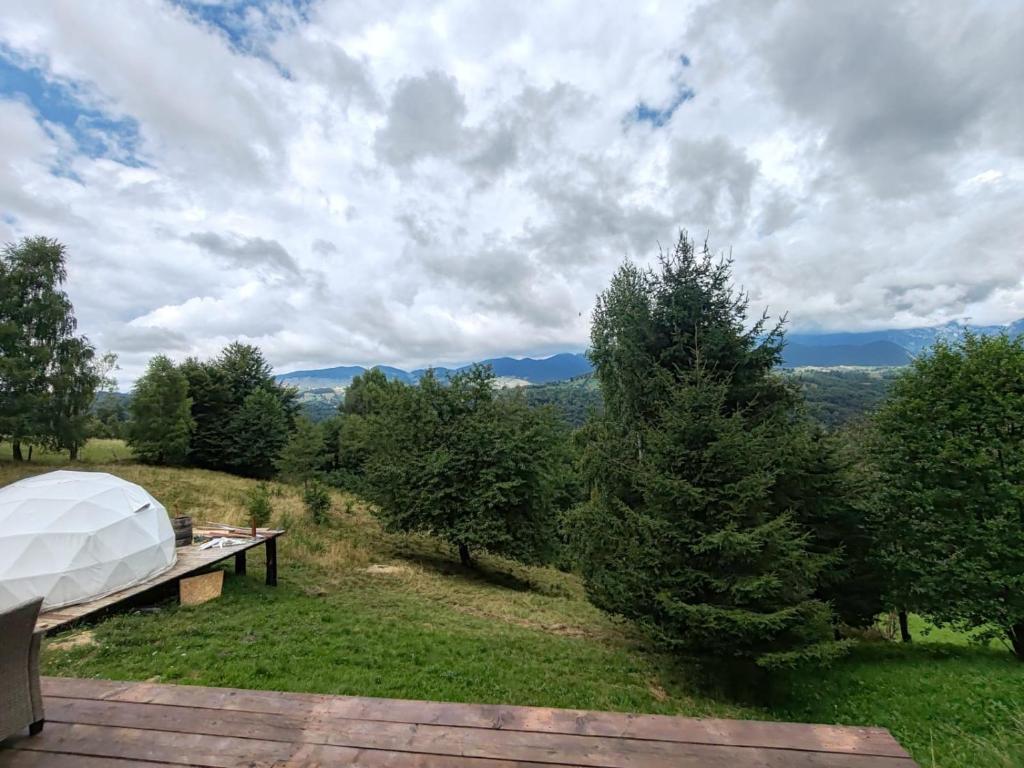 Příroda nedaleko luxury tent