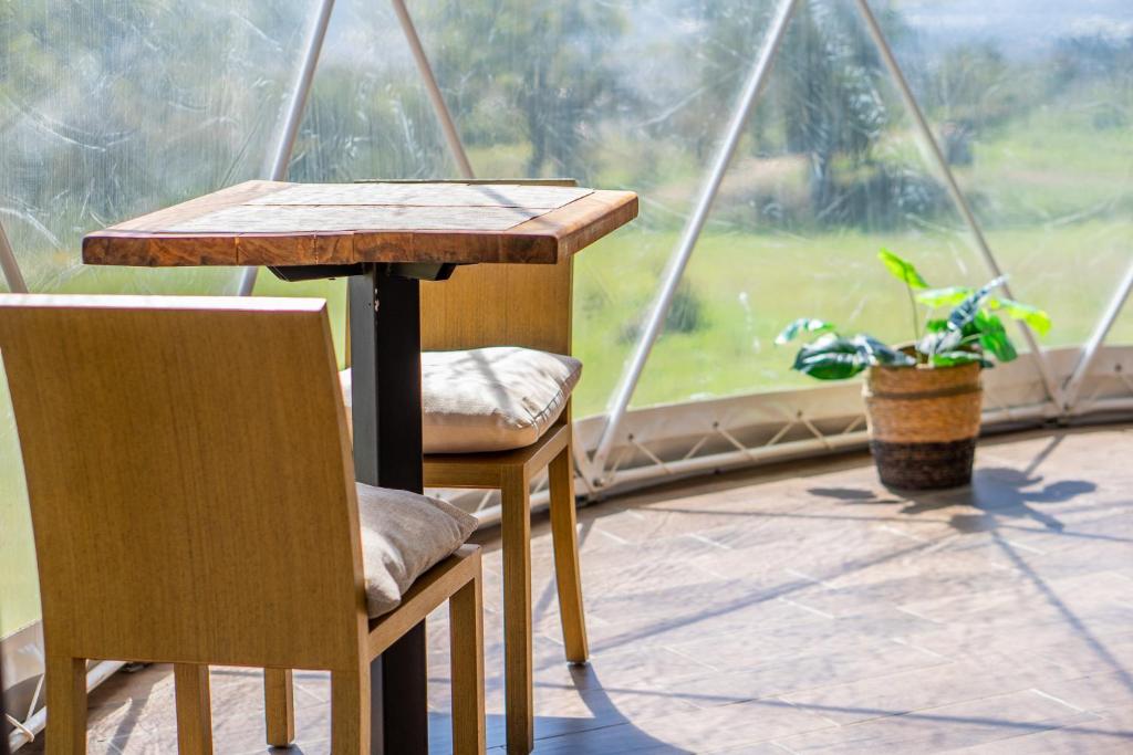 Zahrada ubytování Tocuma Glamping