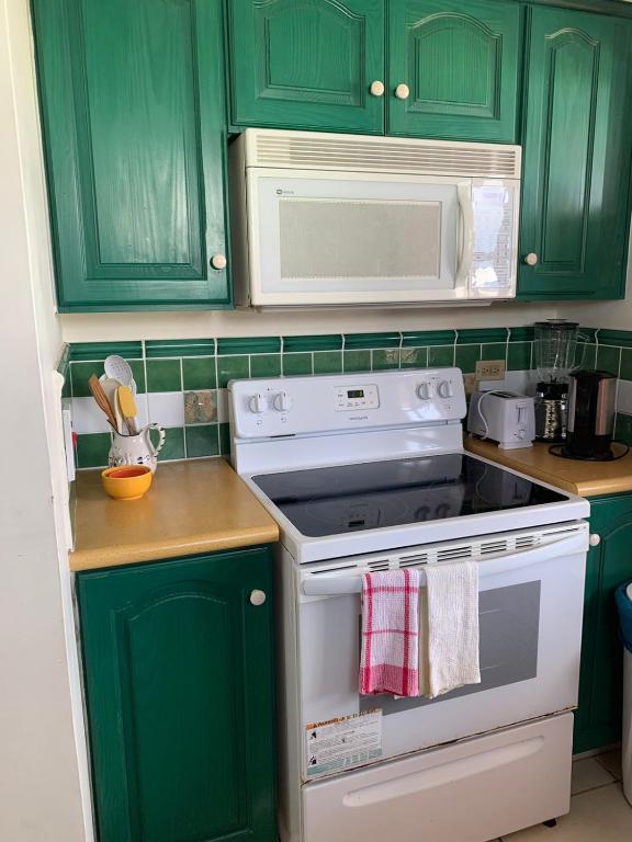 Kuchyň nebo kuchyňský kout v ubytování Caribbliss Suites