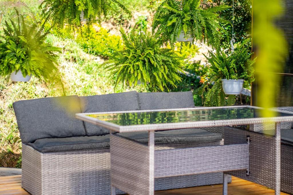Zahrada ubytování Tocuma Glamping