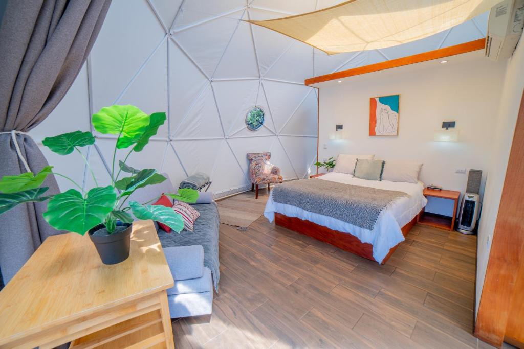 Postel nebo postele na pokoji v ubytování Tocuma Glamping
