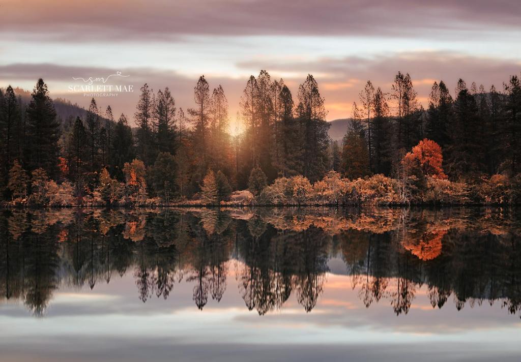 a reflection of trees in a lake with the sunset at Lakeview Terrace Resort in Lewiston