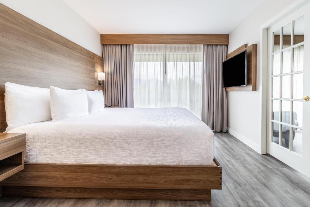 
King Suite w/kitchenette & Sofa Bed
