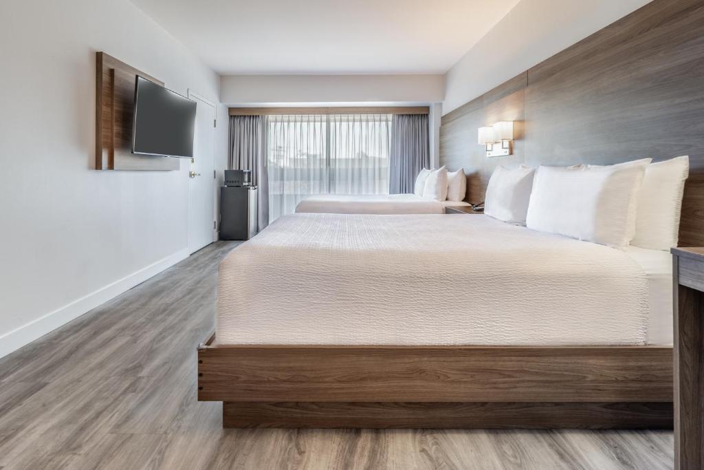 
Two Queens Beds - Accessible 
