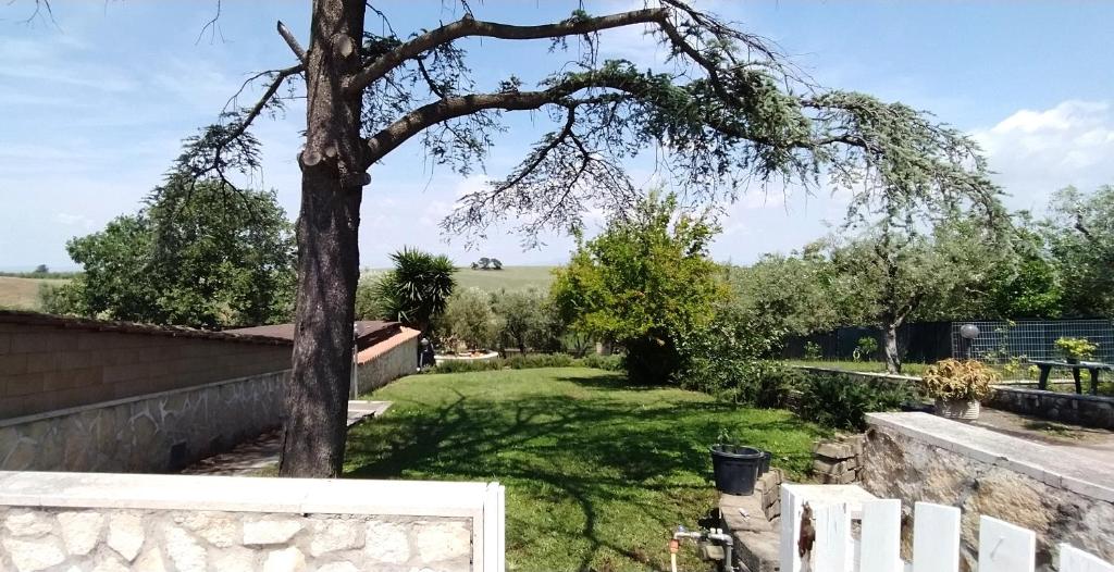 Divino B&B Relax and Wellness