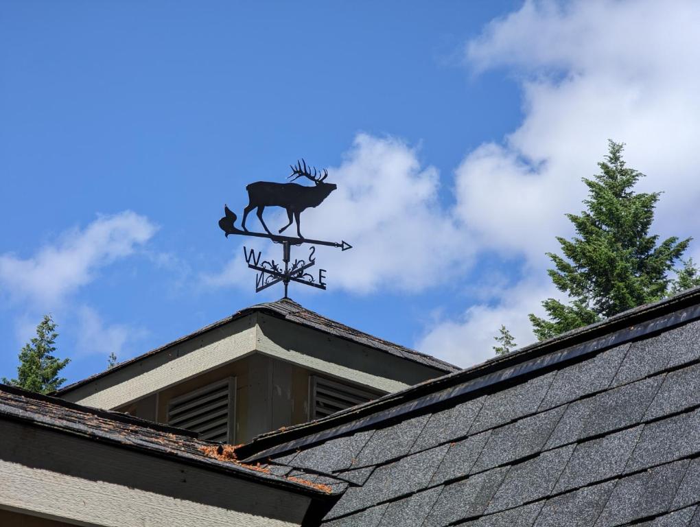 Fotografie z fotogalerie ubytování Bugling Elk Bungalow v destinaci Packwood