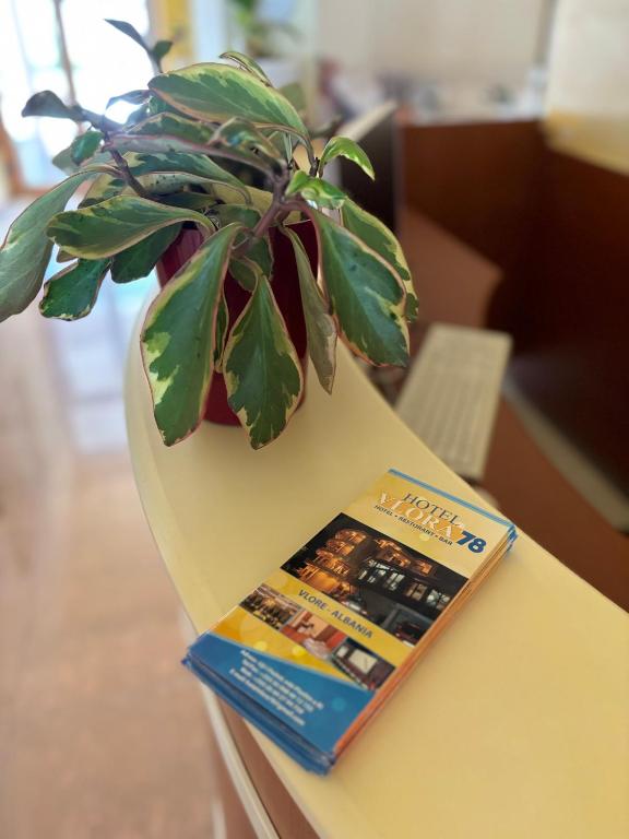 Fotografie z fotogalerie ubytování Hotel Vlora 78 v destinaci Vlorë