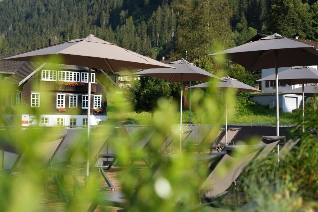 Příroda nedaleko hotelu