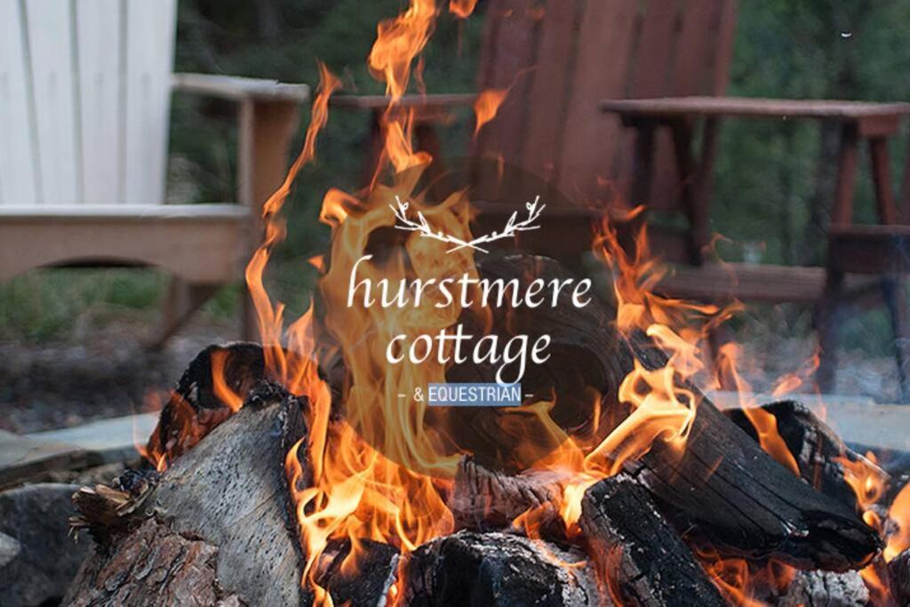 Fotografie z fotogalerie ubytování Hurstmere Cottage, Matakana v destinaci Matakana