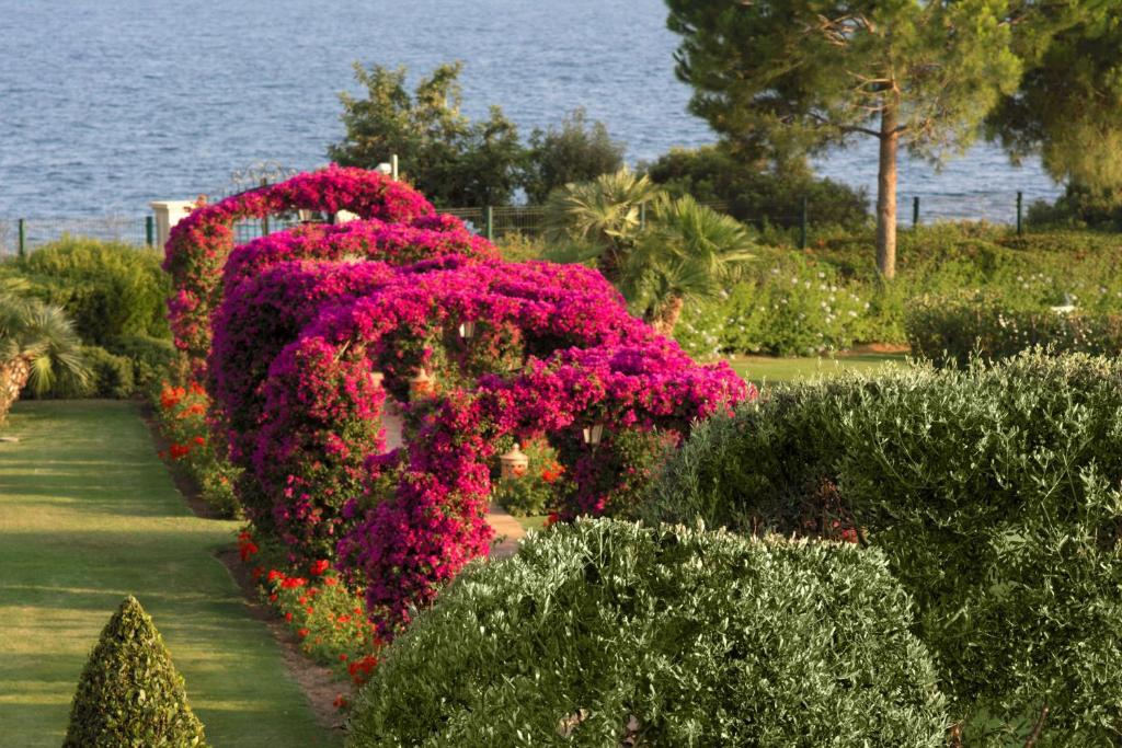 Zahrada ubytování The St. Regis Mardavall Mallorca Resort