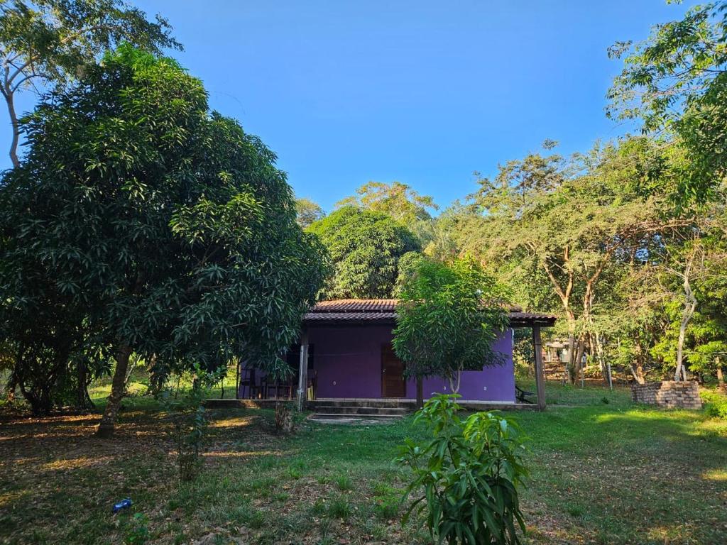 a small purple house in a field with trees at Casa de Praia Pindobal in Santarém