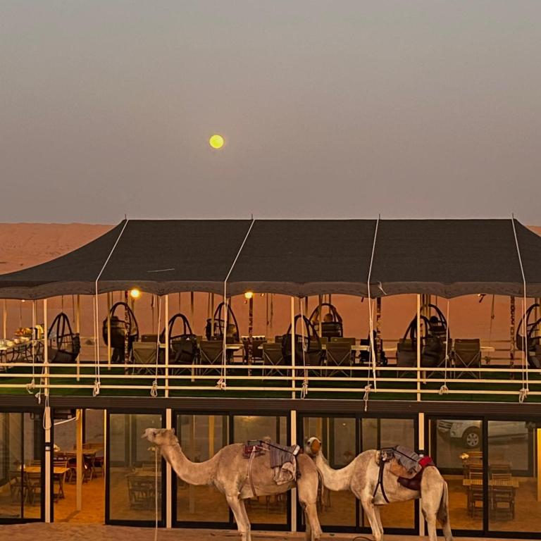 Fotografie z fotogalerie ubytování Oman desert private camp v destinaci Shāhiq