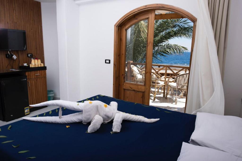 Penguin Village Dahab - 8