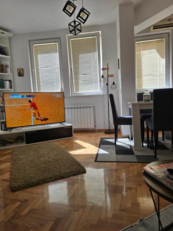 TV a/nebo společenská místnost v ubytování Apartman Veselinovic Free PARKING