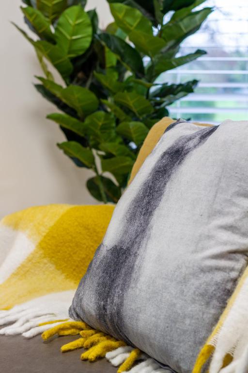 Warm CHCH Apartment Park View & Garage Parking - Resim 33