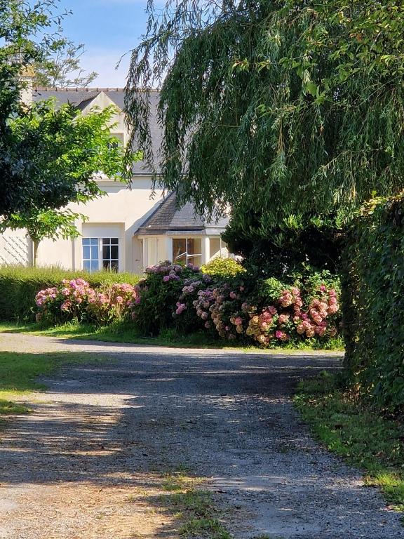 une maison avec une allée et des fleurs devant elle dans l'établissement Ty Mamie spa - 700m de la plage, à Saint-Pabu