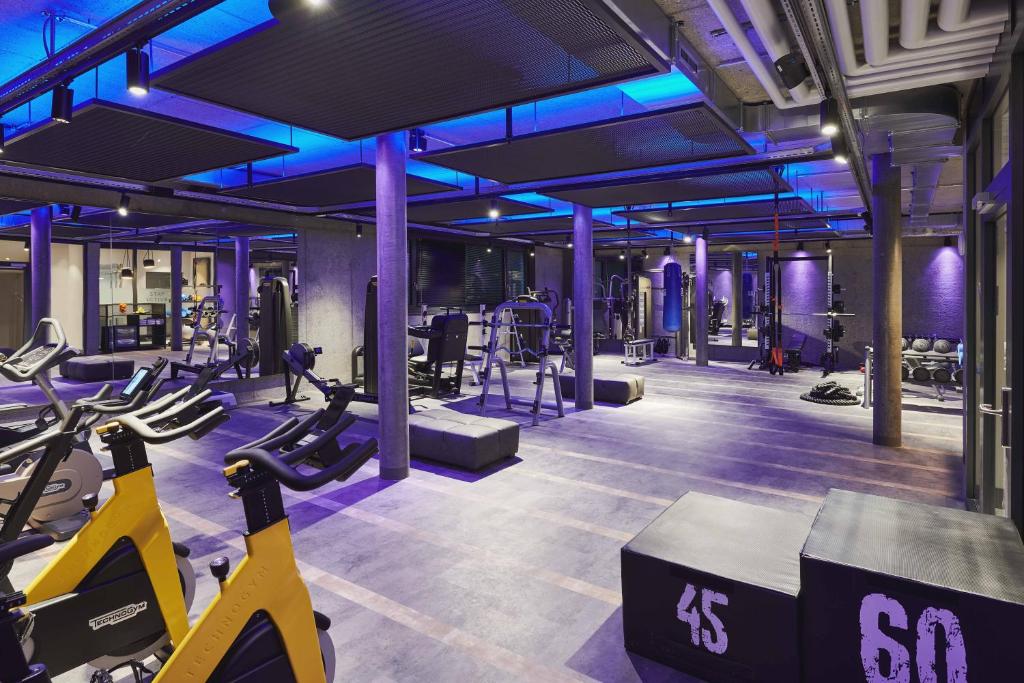 a gym with treadmills and exercise equipment in a building at SCHLOSS Zermatt - CBD & Adaptogenic Spa and Sport Hotel in Zermatt