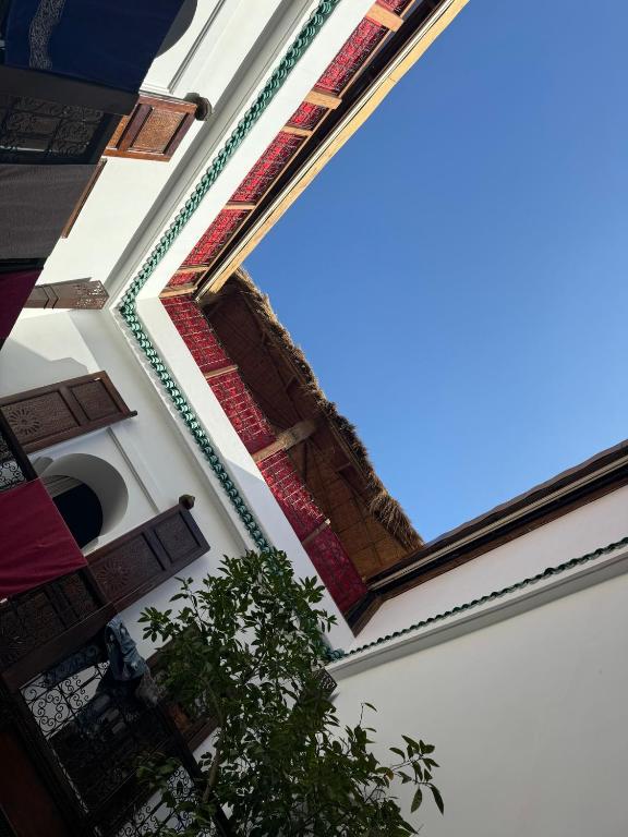 RIAD ALGHANI — photo 2