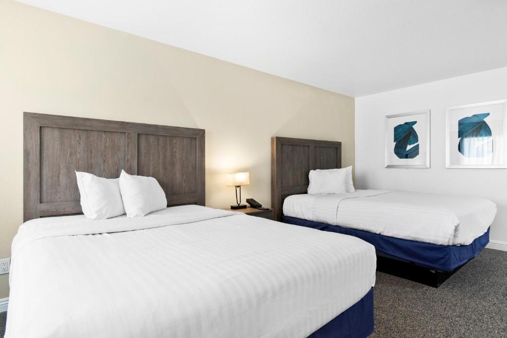 Serene Vegas Boutique Hotel Las Vegas - 