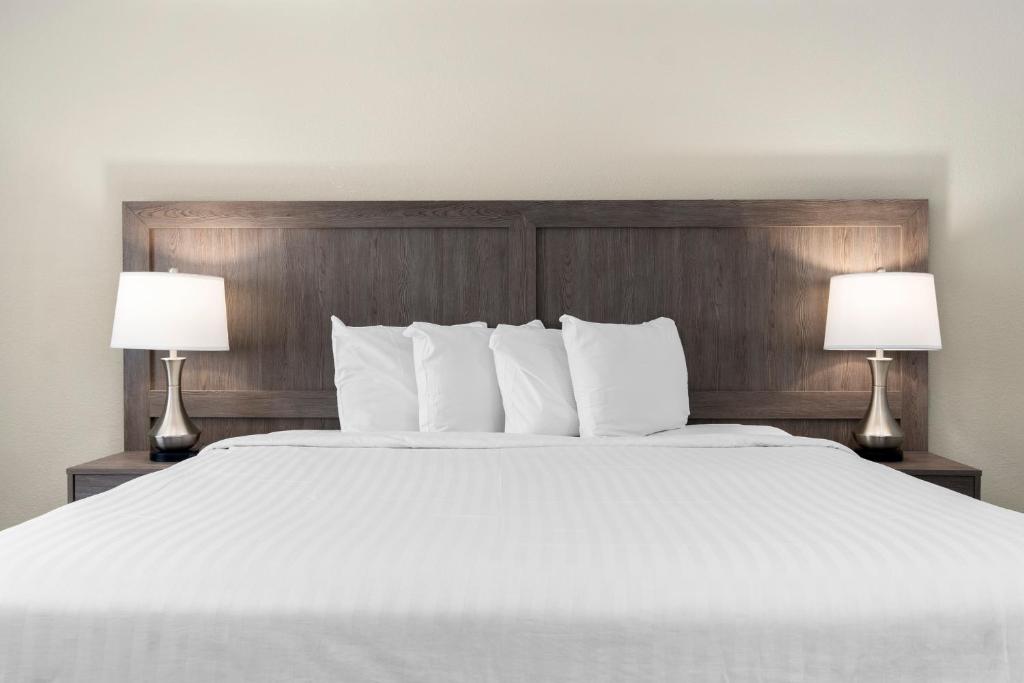 Serene Vegas Boutique Hotel Las Vegas - 