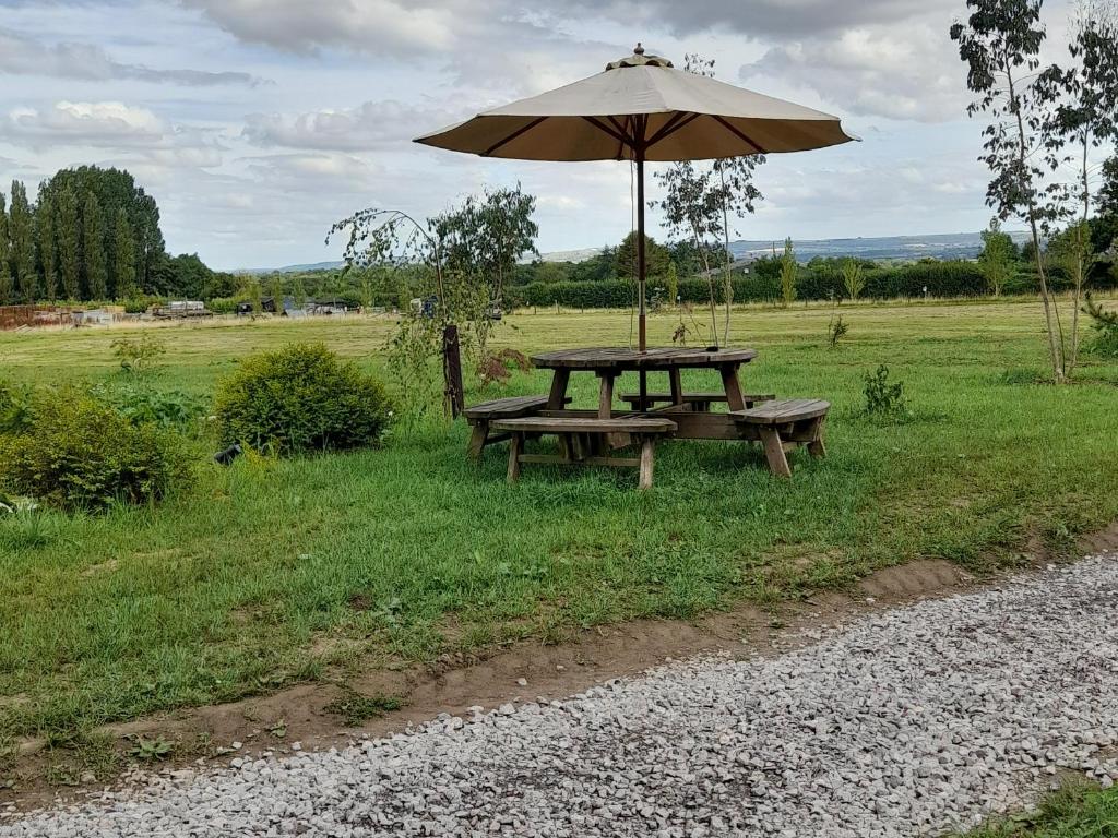 Příroda nedaleko luxury tent