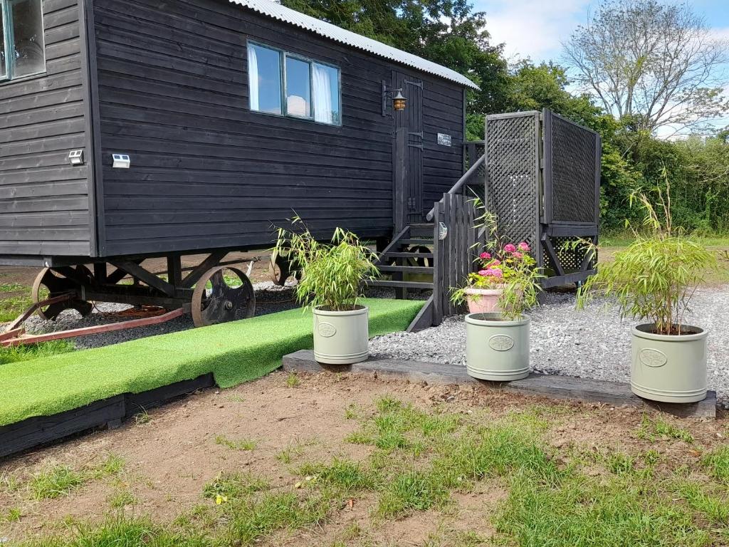 Zahrada ubytování Lower Haven Shepherds Hut