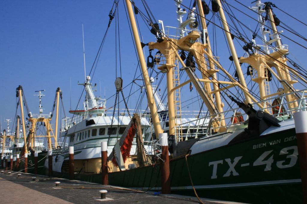 Fotografie z fotogalerie ubytování Logies De Sering Texel v destinaci De Koog