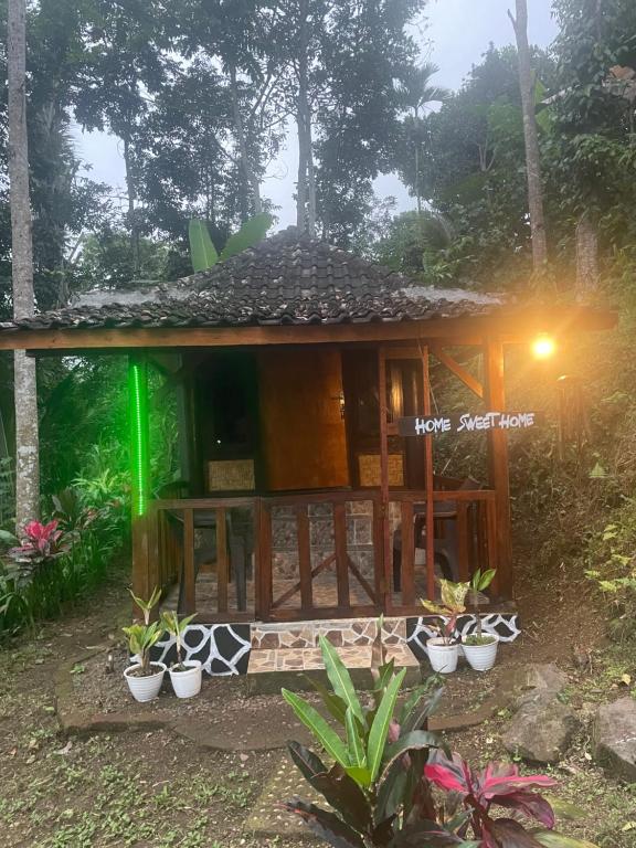 Zahrada ubytování Sky garden Lombok