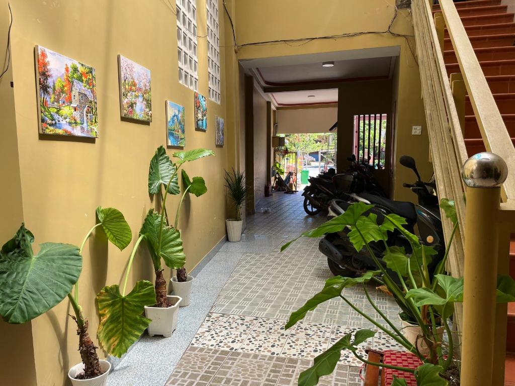Vườn quanh T'H Homestay