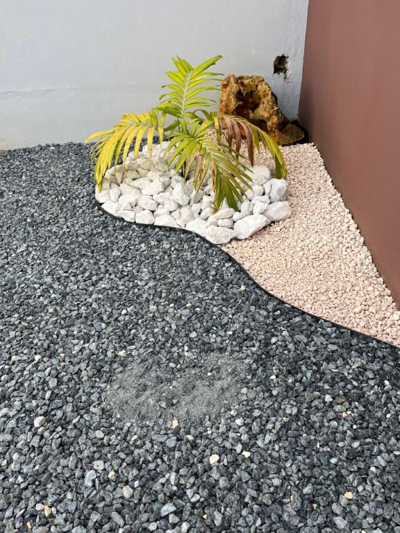 Fotografie z fotogalerie ubytování My dulce hogar v destinaci Isabela